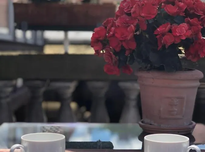 Am Alten Rathaus 公寓 *